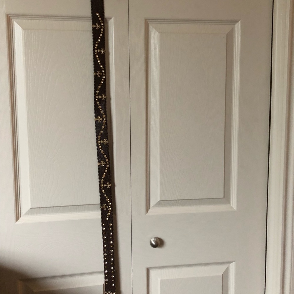 Glittery belt